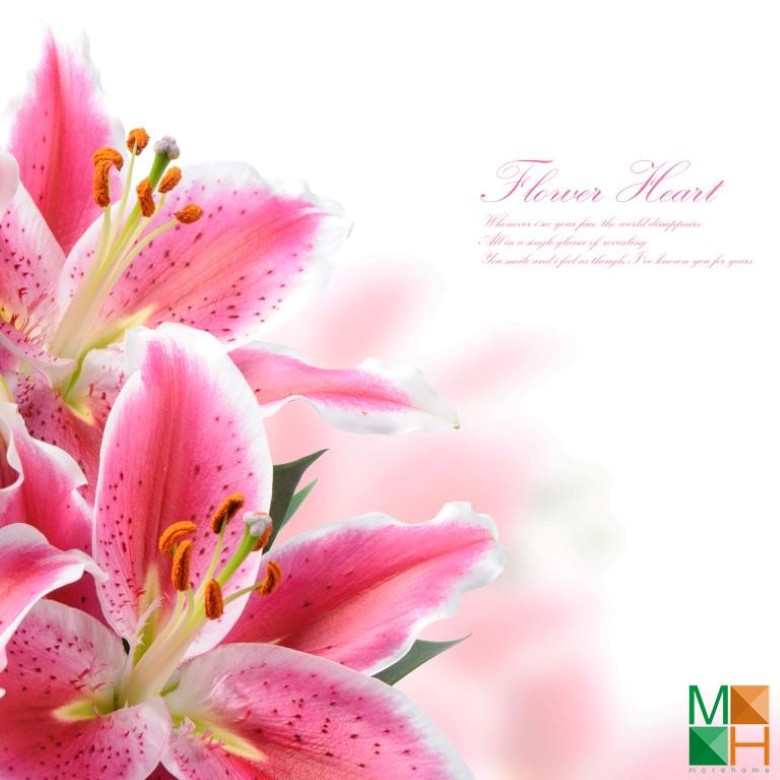 Tranh dán tường trang trí phòng ngủ FW - 064